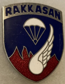 Знак 187-го воздушно-десантного полка.