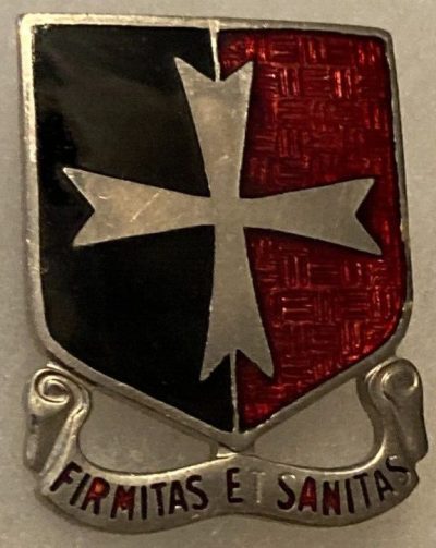 Знак 113-го батальона поддержки.