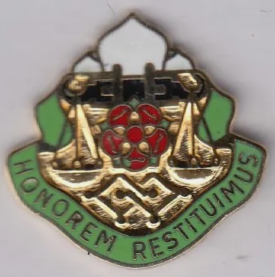 Знак 160-го батальона военной полиции.