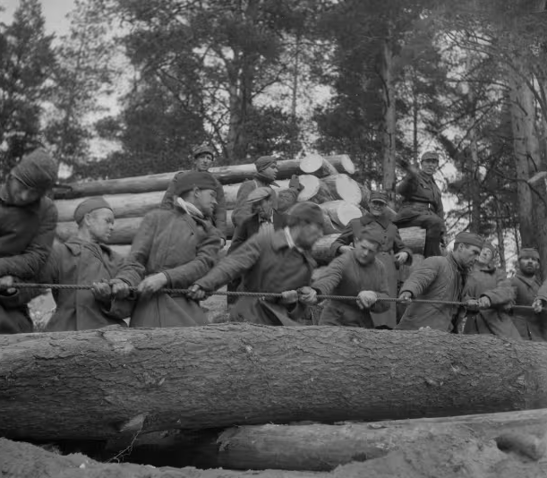 Военнопленные строят блиндажи. Олонец 1941 г.