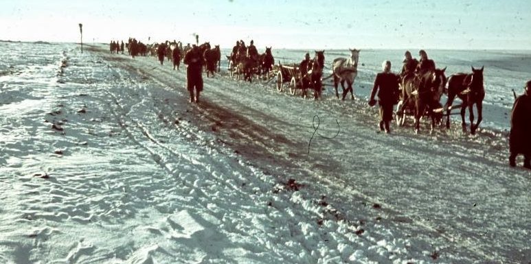 Венгерские солдаты на Восточном фронте. 1942 г.