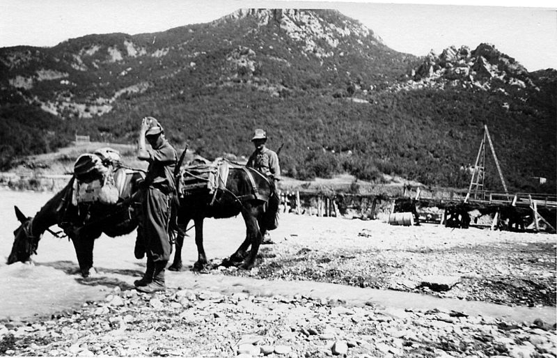 Итальянские войска в Албании. 1939 г.