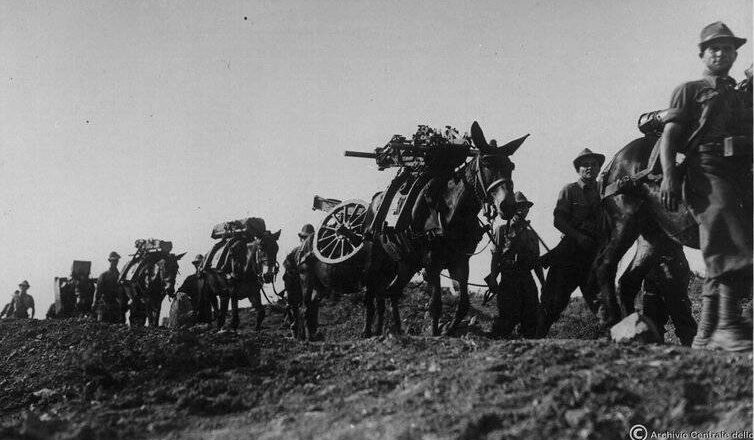 Подразделение итальянской горной артиллерии в Албании.1939 г.