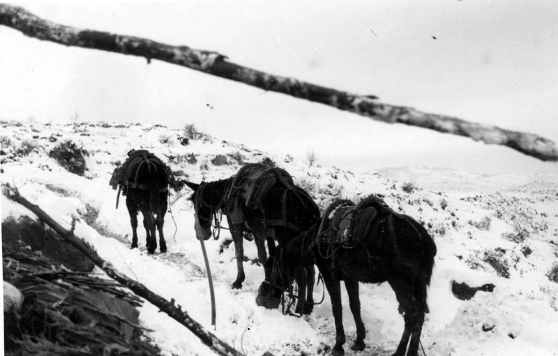 Итальянские войска в Баргулласе. 1941 г.