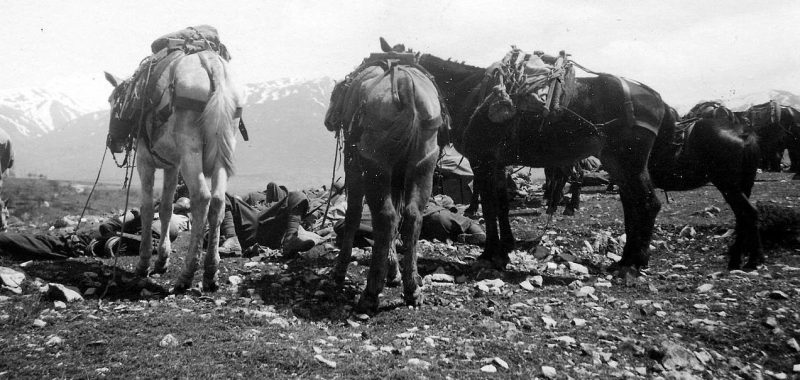 Итальянские войска в Баргулласе. 1941 г.