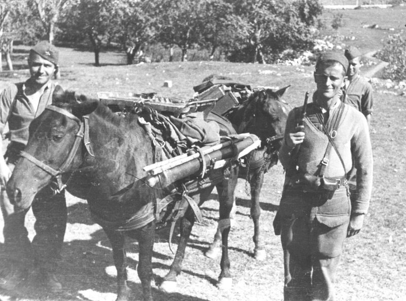 Бойцы 2-й Далматинской бригады в районе Вилуса. 1944 г.