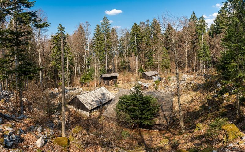 Партизанский госпиталь Згорни Храстник в лесах Кочевского Рога.