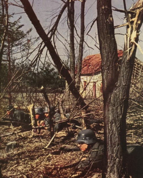 Немецкие войска. Восточный фронт 1941 г.