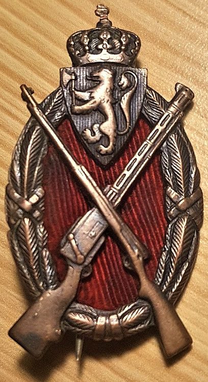 Бронзовый Знак снайпера.