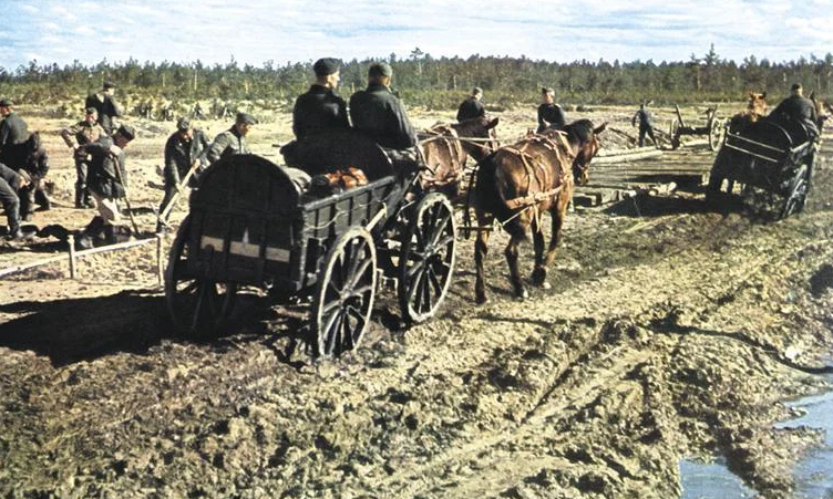 Немецкие войска. Восточный фронт 1941 г.