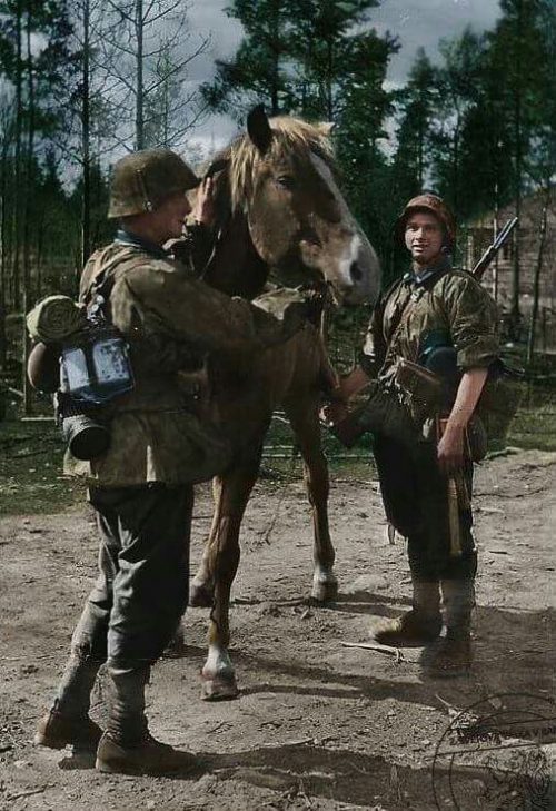Кавалерийская бригада СС. 1941 г.