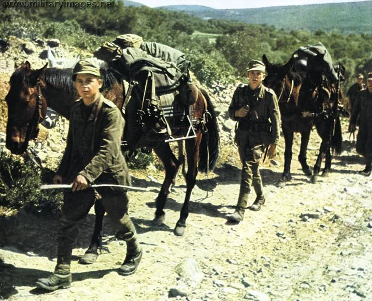 Немецкие войска на Кавказе. 1943 г. 