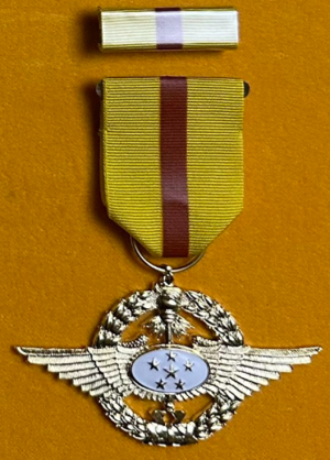 Орденская планка и медаль за 10 сбитых самолетов.