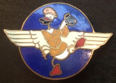 Знак отличия эскадрильи оценки аэрофотосъемки.