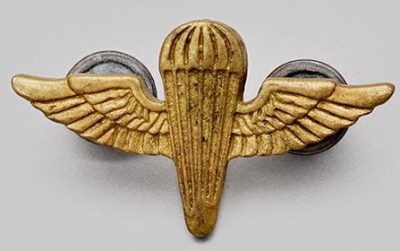 Знак коммандос ВВС.