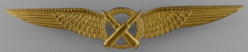 Знак воздушного стрелка ВВС Нидерландов.