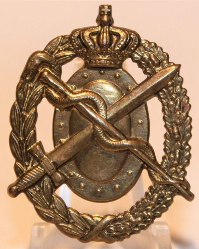 Знак военно-медицинской службы.
