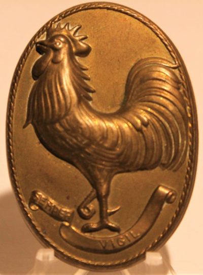 Знак корпуса Королевской гвардии.
