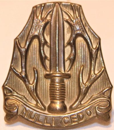 Знак ударного подразделения.
