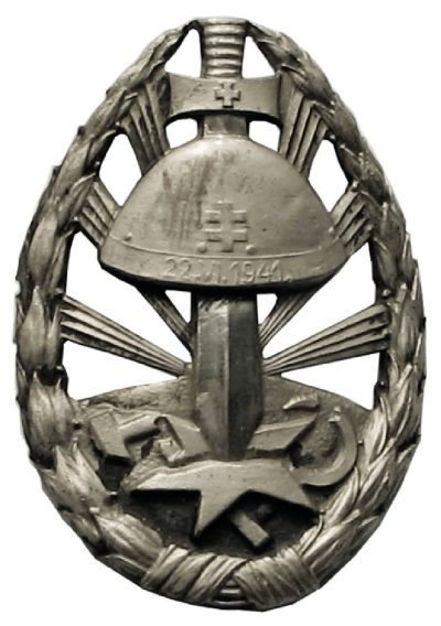 Памятный знак похода против СССР штурмовика и водителя 1-го класса.