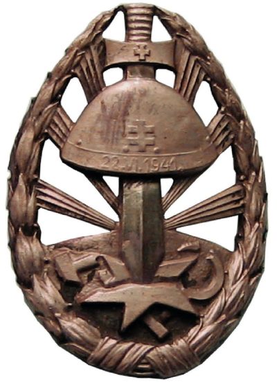Памятный знак похода против СССР штурмовика и водителя 3-го класса.