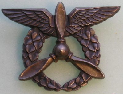 Знак наземных военнослужащих ВВС.