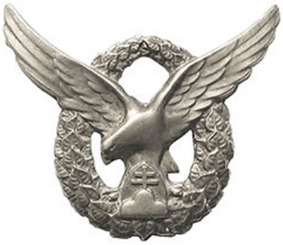 Знак наблюдателя ВВС.
