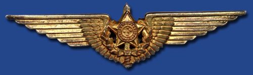 Знак пилота.