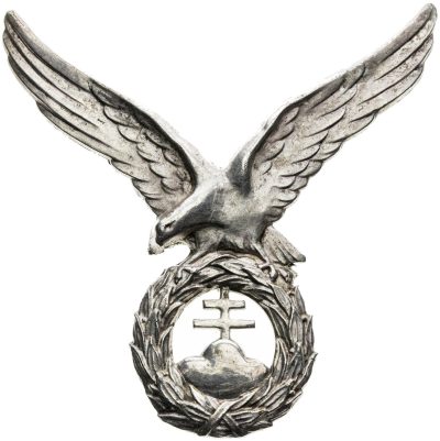 Знак стрелка-авиатора.