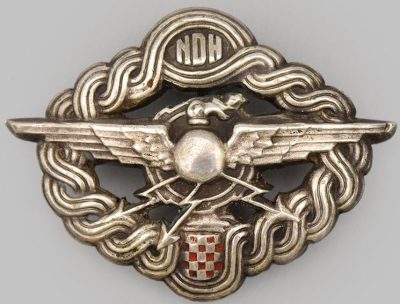 Нагрудный знак летного экипажа.