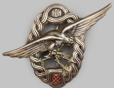 Нагрудный знак наблюдателя ВВС.