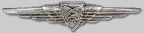 Знак радиотелеграфиста ВВС.