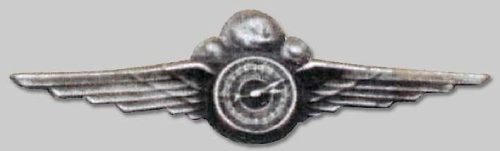 Знак метеоролога ВВС.
