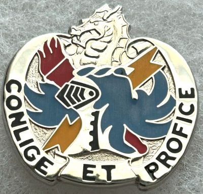 Знак 202-го батальона военной разведки армии.