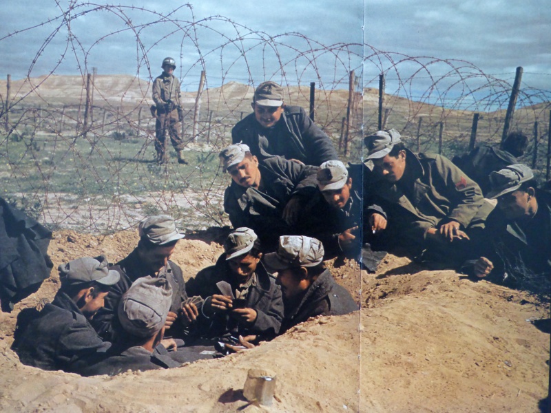 Итальянские пленные играют в карты в лагере. Тунис 1943 г.