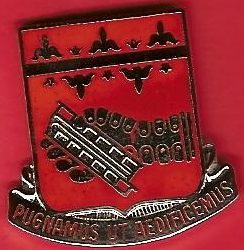 Знак 204-го батальона поддержки.