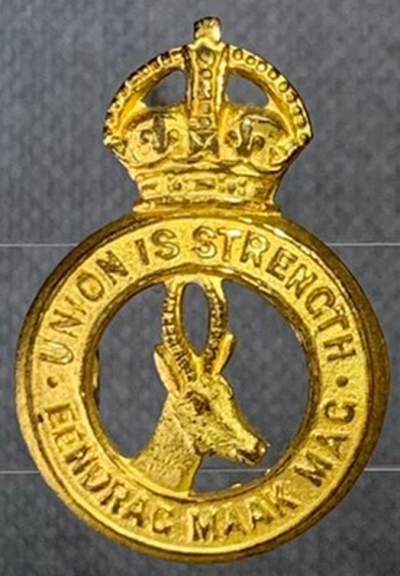 Знак отличия Вооруженных сил Союза обороны.