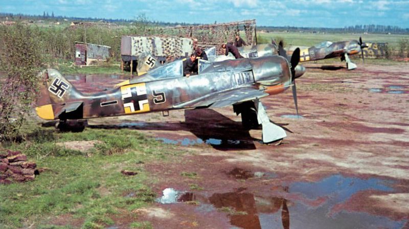 Истребители Фокке-Вульф Fw 190А-5 на аэродроме Сиверская. 1943 г.