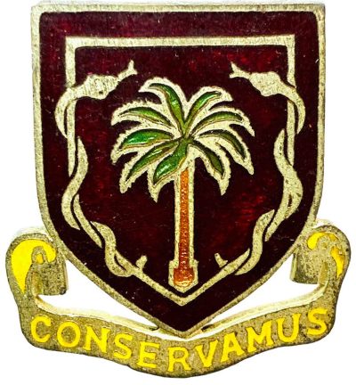 Знаки 12-го медицинского полка.