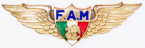 Знаки пилота ВВС.