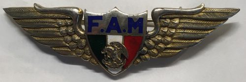 Знаки пилота ВВС.