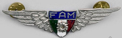 Знак бортинженера ВВС.