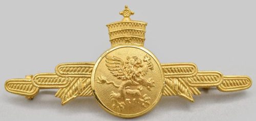 Знак пилота ВВС.