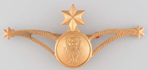 Знак штурмана ВВС.