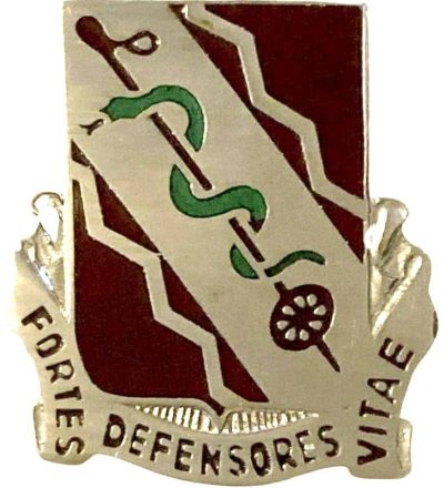 Знак 210-го батальона поддержки.