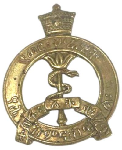 Знак медицинского корпуса.