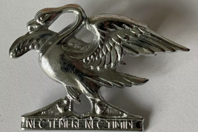 Знак полка Спрингс.