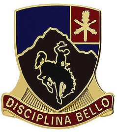 Знак 213-го пехотного полка.