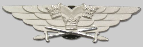 Значки военного пилота.