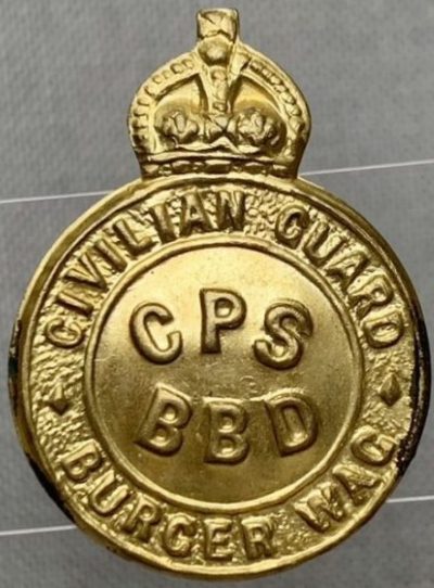 Знаки Службы гражданской защиты.